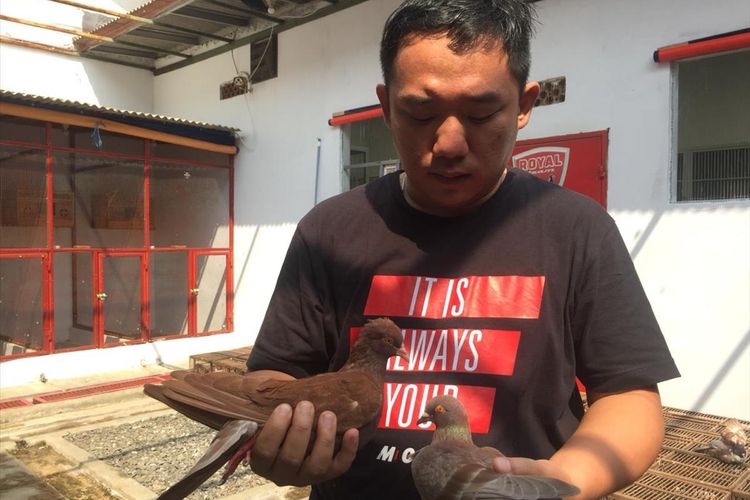 Beli Burung Merpati Seharga Rp 1 M, Istrinya Kaget Lalu Bilang Begini