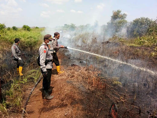 Karlahut Mulai Melanda Rohil