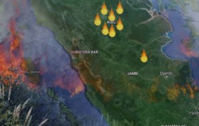 Puluhan Titik Panas Masih Terpantau di Riau, Pelalawan Terbanyak