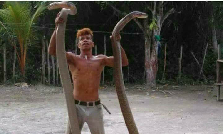 Heboh! Beredar Foto  Pemuda Sungai Pagar Sang Penakluk King Cobra