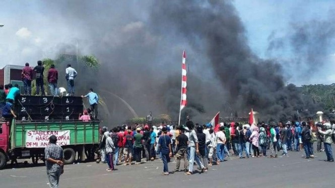 Gelar Aksi Demo, Petani Kelapa: Janji Bupati Menjamin Harga Kopra Stabil Adalah Hoax
