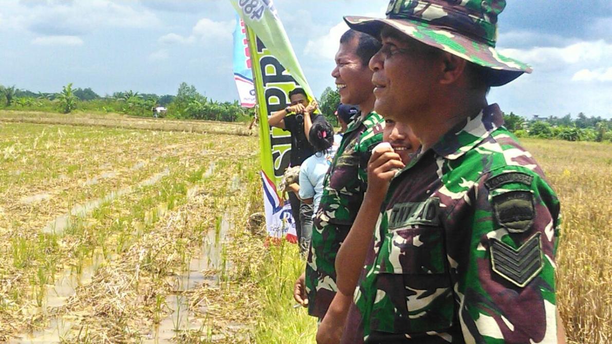Di Inhil TNI Turun Langsung ke Sawah Bantu Petani Tanam Padi