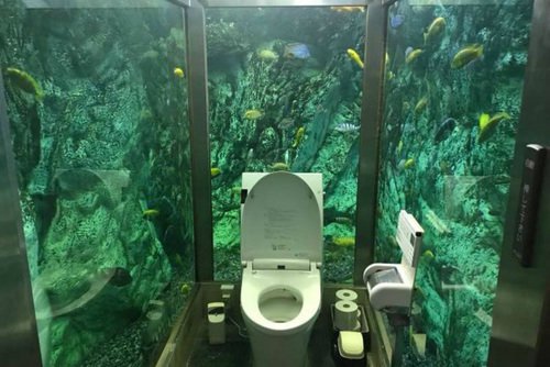 Luar Biasa... Ada Toilet di Dalam Akuarium