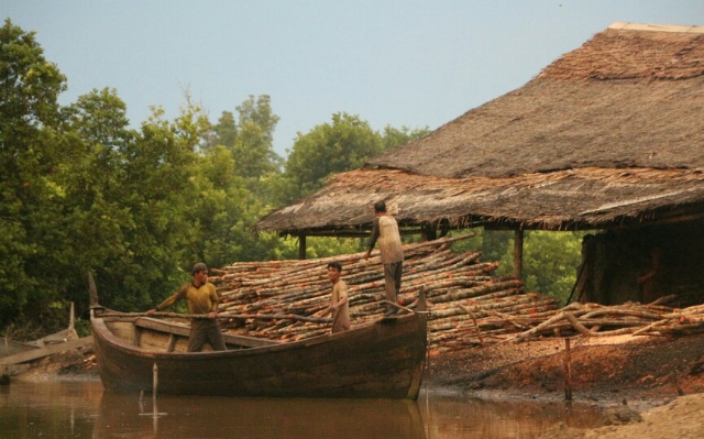 Panglong Arang di Sungai Sepit Diduga Ilegal, Camat, Lurah, dan RT Mengaku Tidak Mengetahui