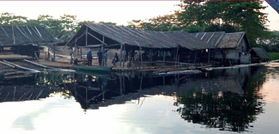 Tim Opnsal Polres Inhil Operasi Tangkap Tangan Terhadap Pelaku Pengolahan Kayu Hasil Hutan