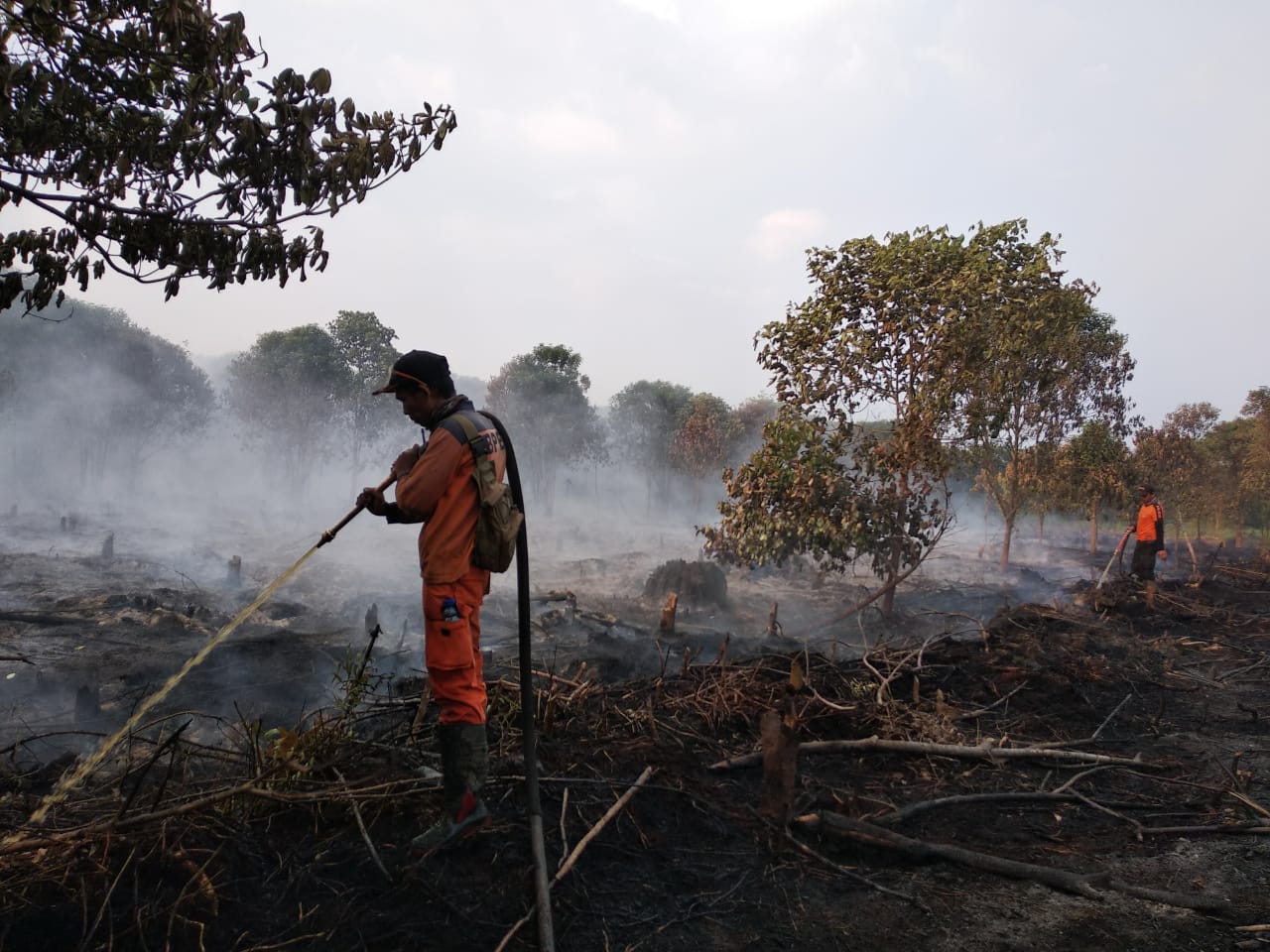 Puluhan Hektar Lahan Perusahaan PT SAL dan SAGM di Inhil Terbakar