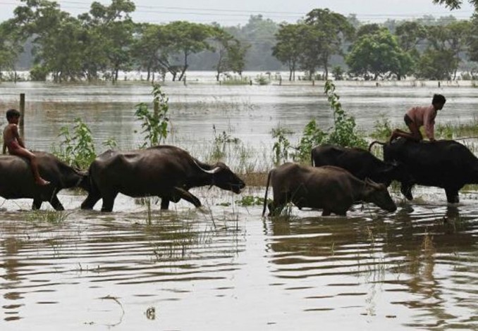 850 Petani di India Tewas Bunuh Diri Selama 4 Bulan