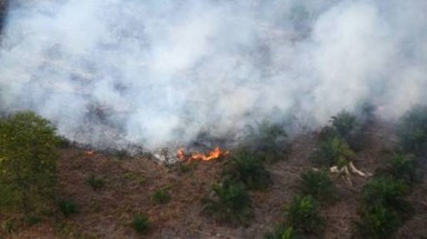 Rohil Terbanyak, Pagi ini Terdapat 90 Hotspot di Riau