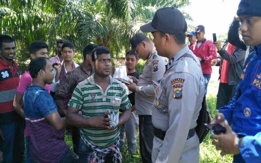Ditinggal Tekong, 42 WN Banglades Terlantar di Kebun PT MMJ di Rupat