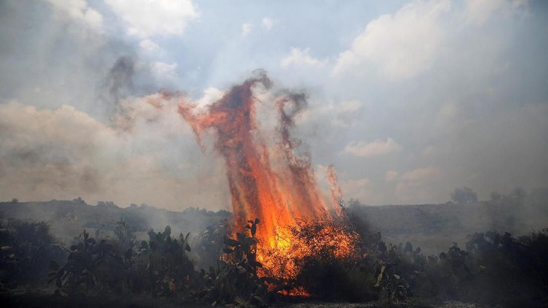 Layang-layang Palestina Hantui Israel