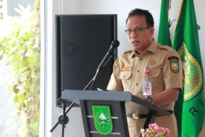 Pemprov Riau Belum Umumkan Kelulusan PPPK Tenaga Kesehatan, Ini Alasannya