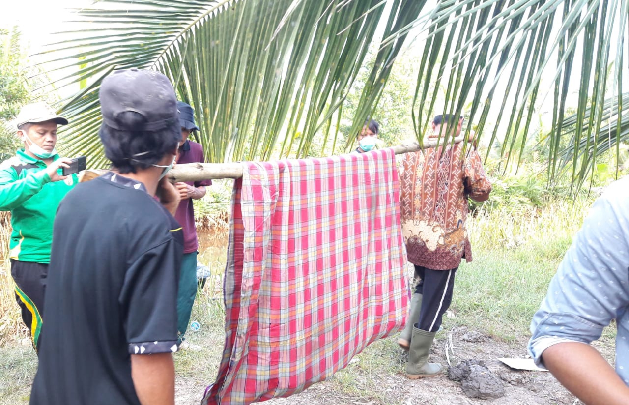 Lima Hari tak Keluar Kebun. Petani di Inhil Ditemukan Meninggal, Tulangnya Berserakan