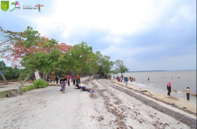 Eksotisnya Wisata Alam Hutan Mangrove Pulau Cawan