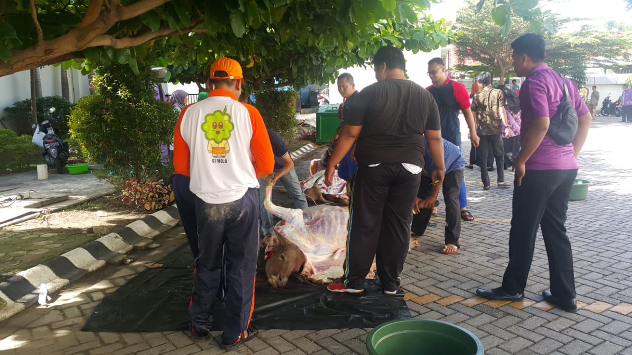 Hari Kedua Idul Adha, Keluarga Besar RSPB Sembelih 4 Ekor Sapi
