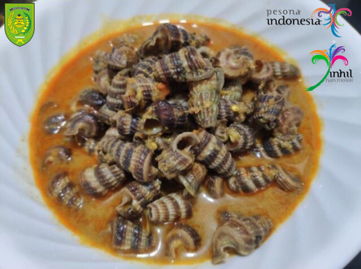 Siput Isap, Kuliner Khas Inhil Bernilai Ekonomi Eksport