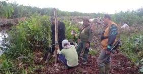 Pantau Harimau Sumatera, BBKSDA Riau Pasang Lima Kamera Trap