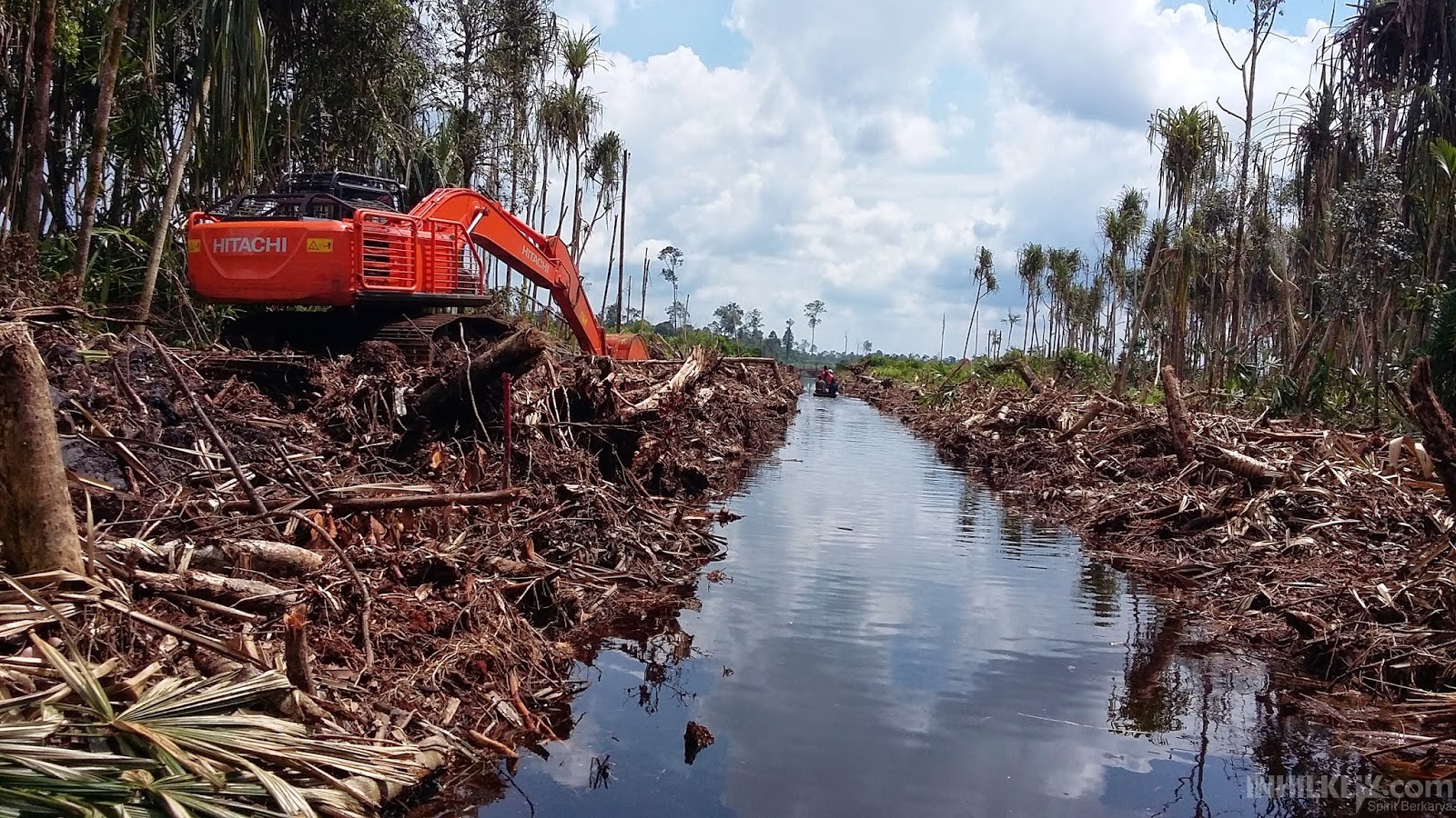 Kerusakan Alam Riau Kian Parah, Ekosistem Dunia Terancam