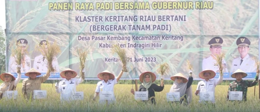 Panen Raya Bersama Gubri, Bupati Inhil Harap Pemprov Bisa Terus Support Petani di Wilayahnya