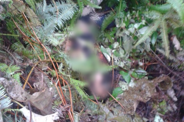 Seorang Tokeh Sawit di Inhil Ditemukan Tewas di Semak-semak