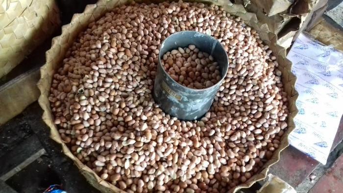 Jelang Ramdhan Kenaikan Mulai Terjadi, Permintaan Kacang Tanah Melonjak
