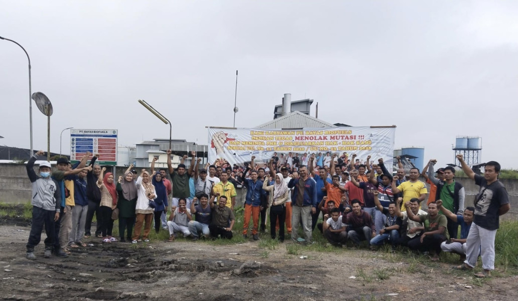 Tolak Dimutasi, Puluhan Karyawan PT Bayas Bio Fuels Ancam Lakukan Aksi Demontrasi