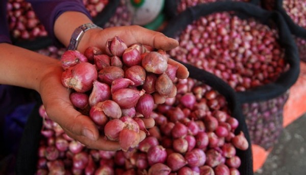 Harga Bawang Merah Melejit Naik