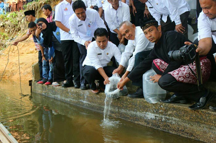 Andi Rachman : Presiden Jokowi Tertarik Budidaya Ikan di Kampar