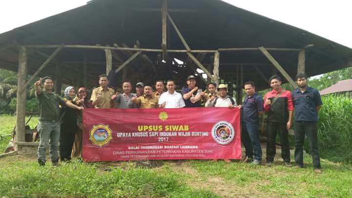 Legislator Siak Tinjau Program UPSUS SIWAB