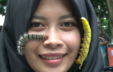 Ngeliiii.... Gadis Ini Punya Hoby Memelihara Ulat Bulu