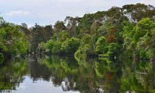 Danau Janda Gatal Bakal jadi Objek Wisata Andalan Rohil