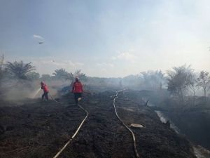 Petugas Darat dan Udara Dikerahkan ke Lokasi, Karhutla di Inhu dan Inhil Dalam Proses Pendinginan