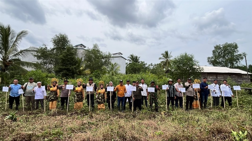 Peringati Hari Mangrove Sedunia, PT Guntung Idamannusa Tanam 5.000 Bibit Mangrove
