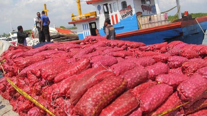 Balai Karantina Pekanbaru Musnahkan 6,8 Ton Bawang Merah Ilegal