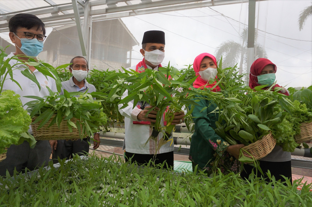 Bentuk Urban Farming, Sarana Jaya Selalu Hadir Ditengah Pandemi