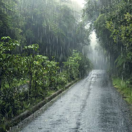 BMKG Sampaikan Prakiraan Cuaca Untuk Wilayah Riau, Ini katanya