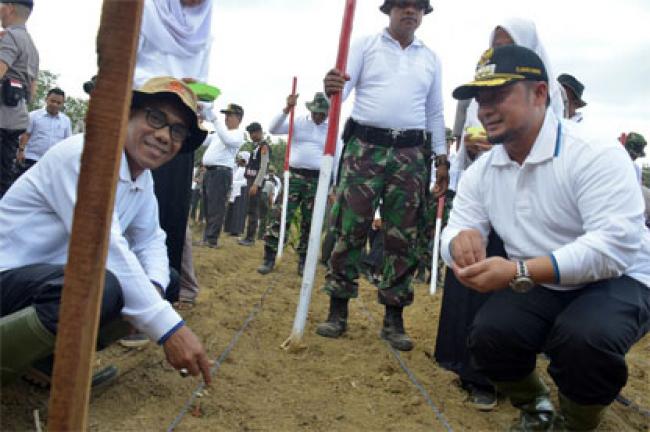 Manfaatkan Lahan Tidur Jadi Lahan Pertanian, Gubri: Dukung Program Nasional