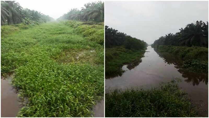 Geger, Kanal Ajaib di Inhil Bisa Bersih Sendiri, Begini Kejadiannya...