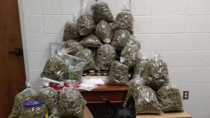 Pasangan Ini Ditangkap Usai Bagikan Ganja untuk Hadiah Natal