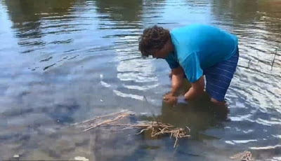 Pria Ini Nekat Tangkap Buaya Pakai Tangan Kosong di Sungai