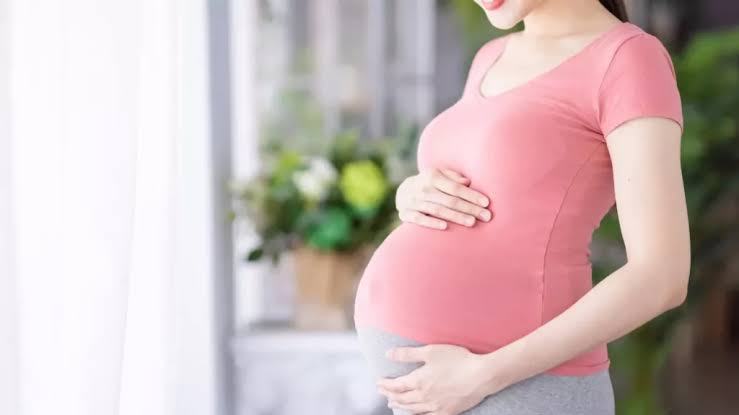 Dinkes Inhil Paparkan Penyebab Gejala dan Pencegahan Anemia Pada Ibu Hamil