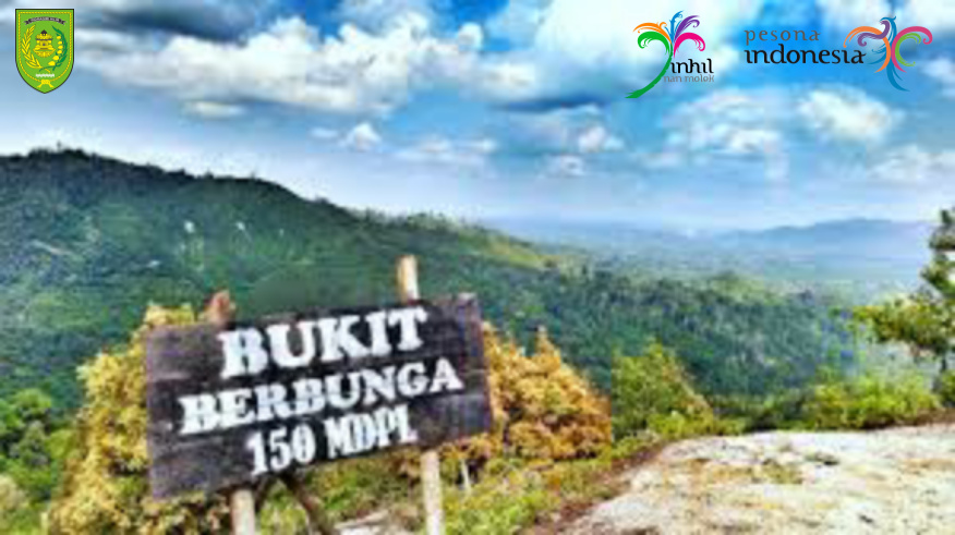 Bukit Berbunga di Kabupaten Inhil