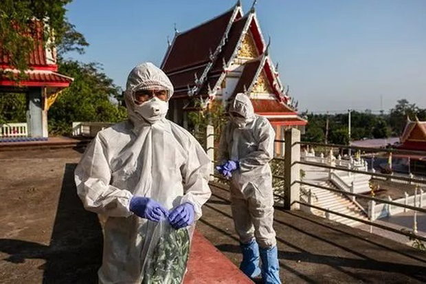 Virus Baru Ditemukan di China, 94,5 Persen Identik dengan COVID-19