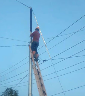 PLN Pasang Grease dan Alkuduri Guna Tangkal Monyet Yang Sering Bermain di Kabel Hingga Akibatkan Pemadaman