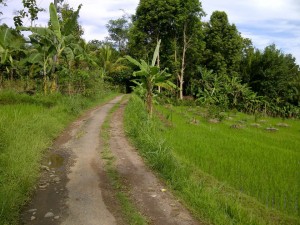Ramai Ramai Ditinggalkan Warganya, Makin Hari Desa Pandan Sari Inhil Makin Sepi