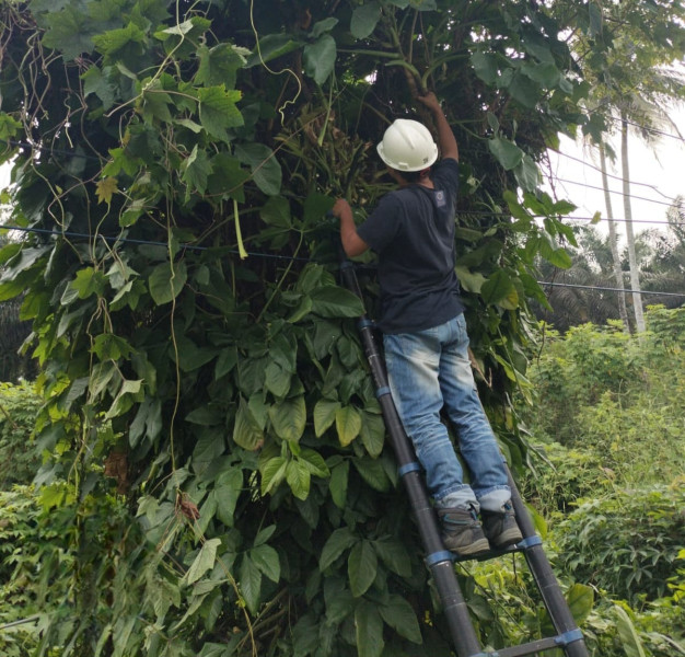 PLN Icon Plus dan PLN UID Sumbar Bersinergi Jaga Jaringan Telekomunikasi di Area Blankspot