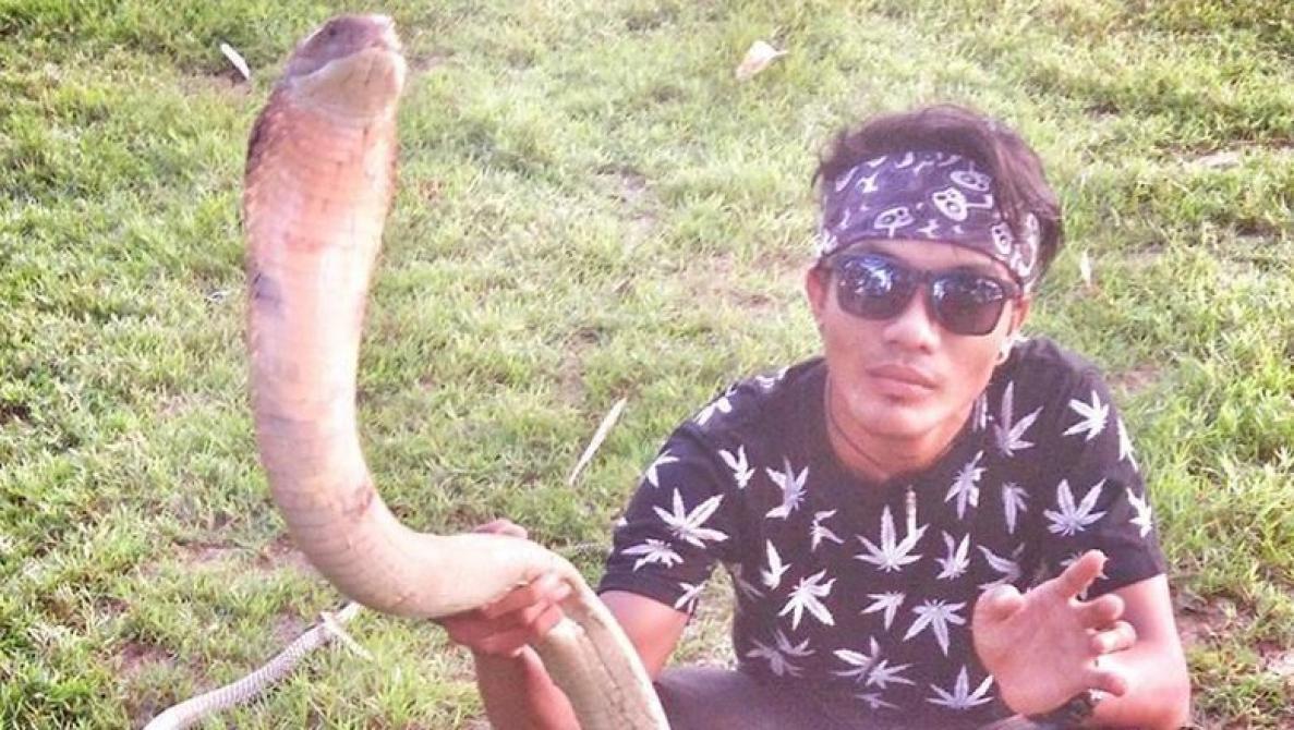 BKSDA: King Cobra Mematikan, Jangan Dipelihara