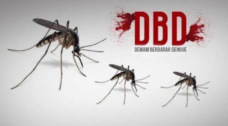 Diskes Berupaya Tekan Angka DBD