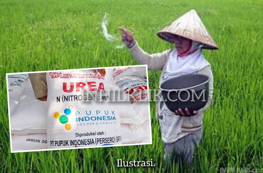 Petani di Sergai Mengaku Penyaluran Pupuk Bersubsidi Mudah dan Murah