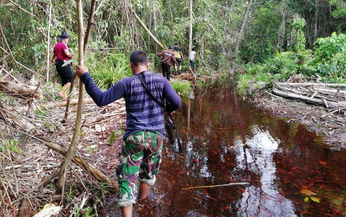 Warga Inhil 'Disandera' Harimau Bonita di Tengah Hutan, yang Terjadi Kemudian...