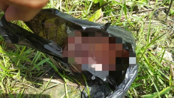 Geger, Warga Temukan Orok Bayi Laki-laki Terapung di Pinggir Sungai Siak